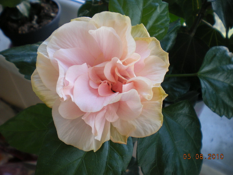 05.08.2010 007.jpg