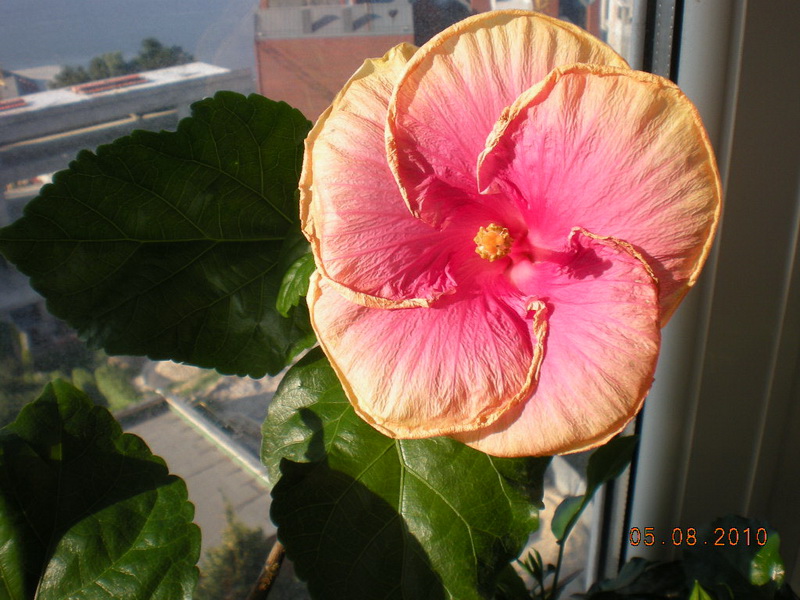 05.08.2010 067.jpg