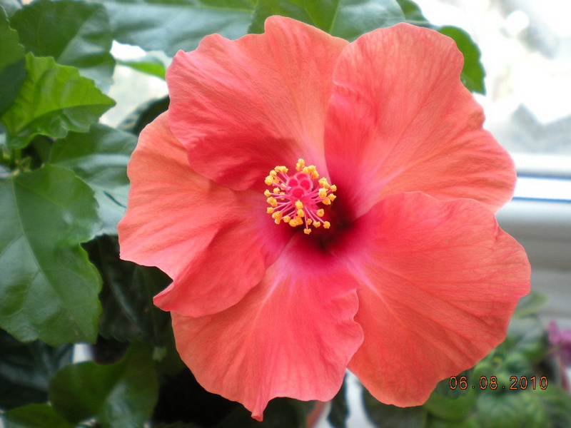 05.08.2010 075.jpg