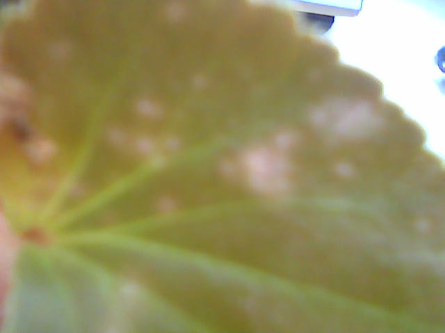 Image007.jpg