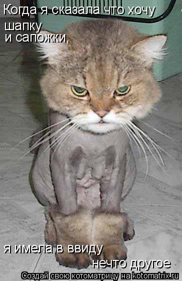 шапка и сапожки.jpg