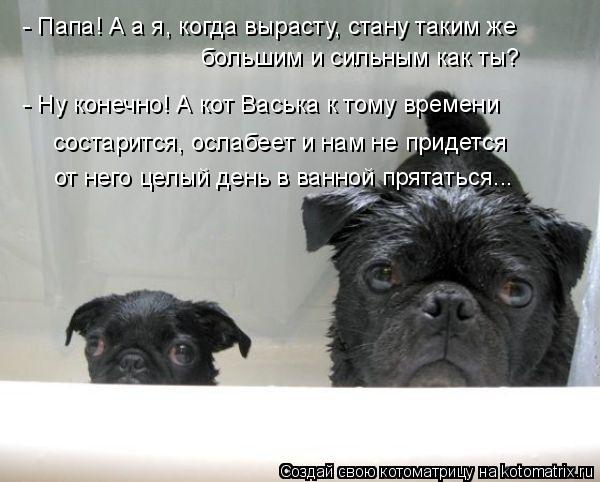 Папа и сын.jpg