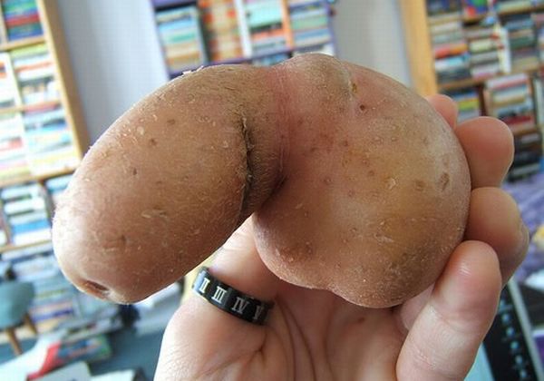 картофан пени...jpg