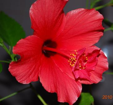 Изображение 990.jpg