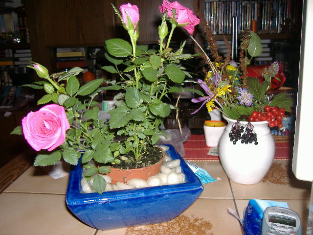 DSCF1448.JPG