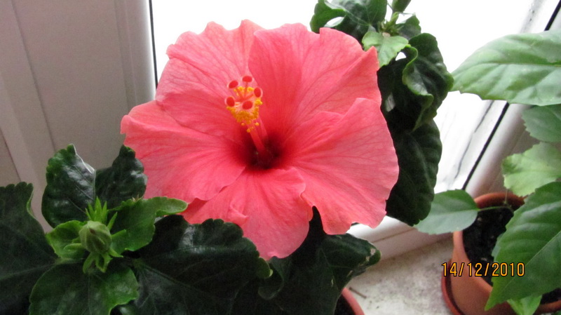 сегодня 025.jpg