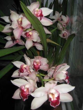 Изображение 052-1.jpg