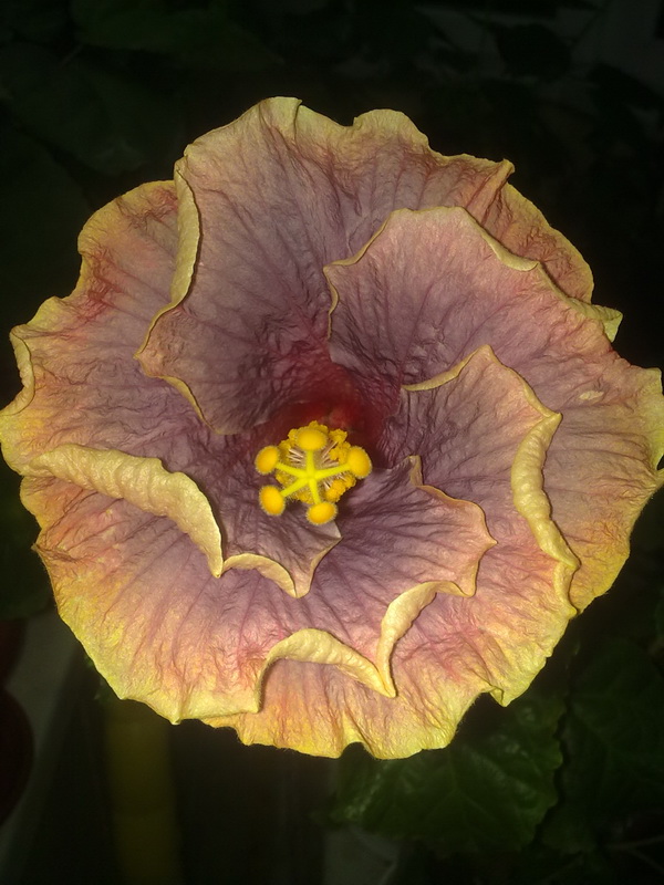 сегодня вечером 022.jpg