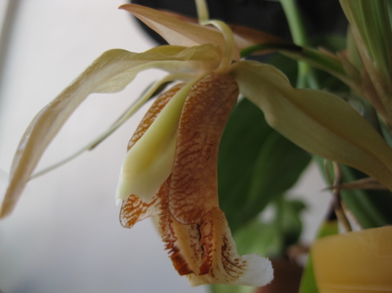 Изображение 391 сж.jpg