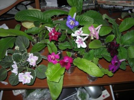 DSCN21591.JPG