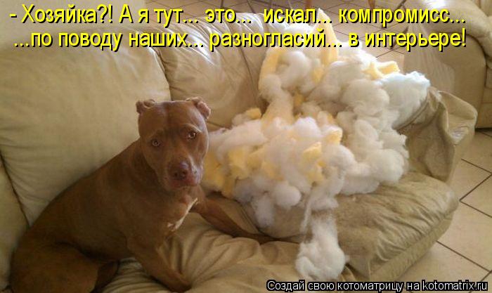 котоматрица 1.jpg