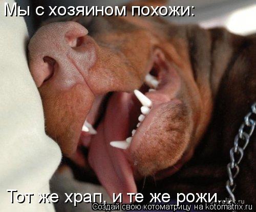 котоматрица 8.jpg