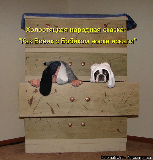 котоматрица 5.jpg