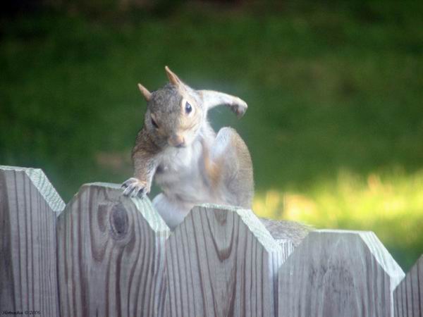 Resize of 44418_1024_768.jpg