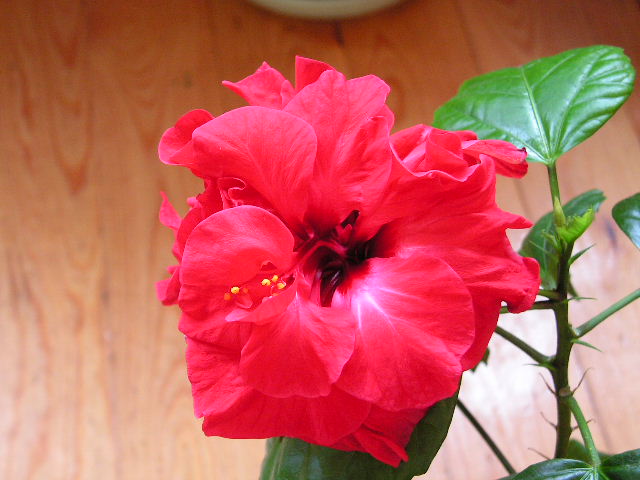 2006_09_30 001.jpg
