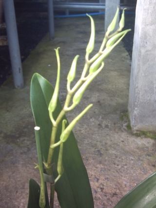 PICT0018.jpg
