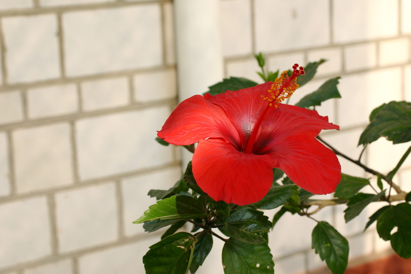 CRW_8951_RJ.JPG