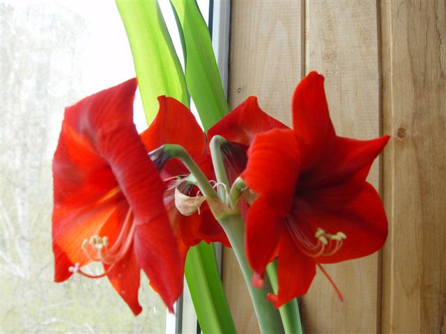 Picture 037.jpg