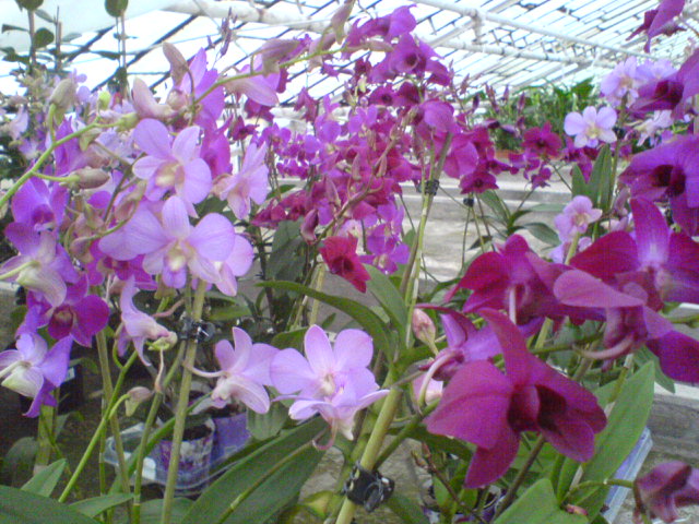 DSC00072.JPG