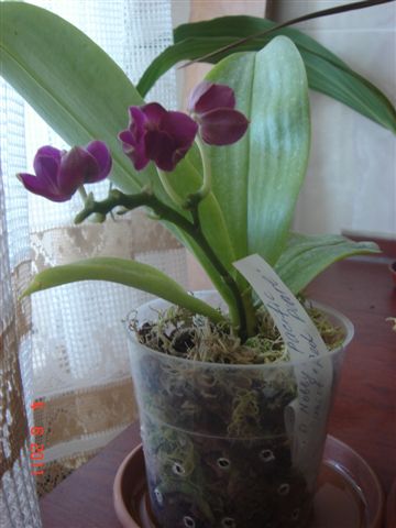 DSC01525.JPG