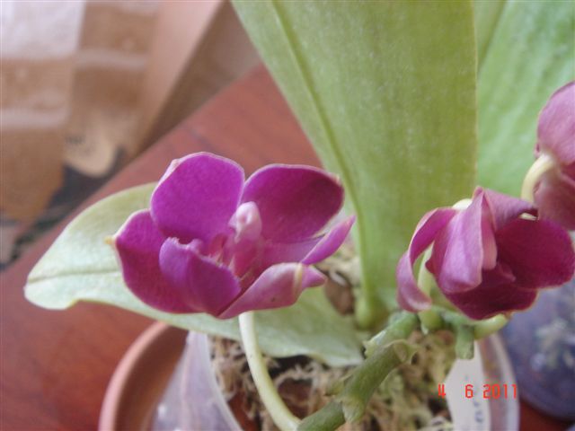 DSC01532.JPG