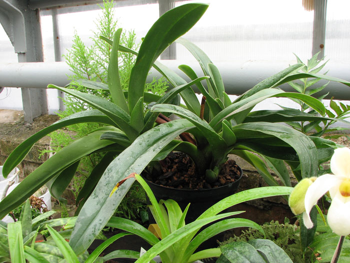 Lippewunder x Lippewunder.jpg