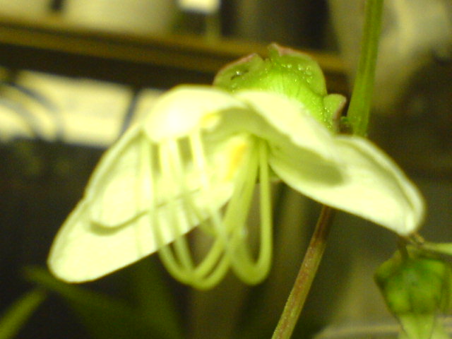 DSC00304.JPG