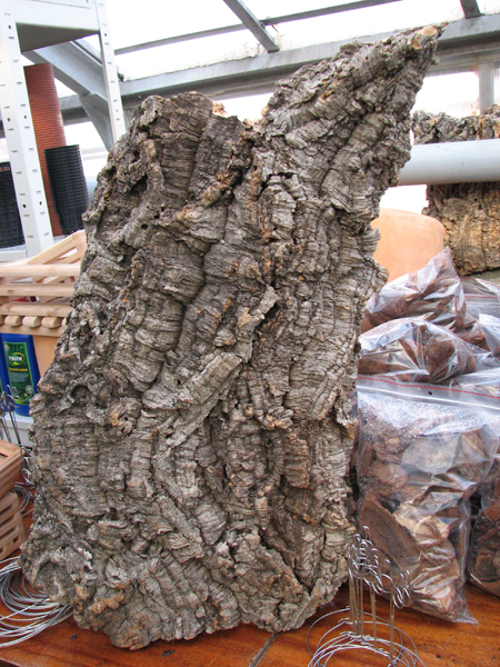 Пробка для орхидей.jpg