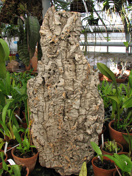 Блоки из пробки для орхидей.jpg