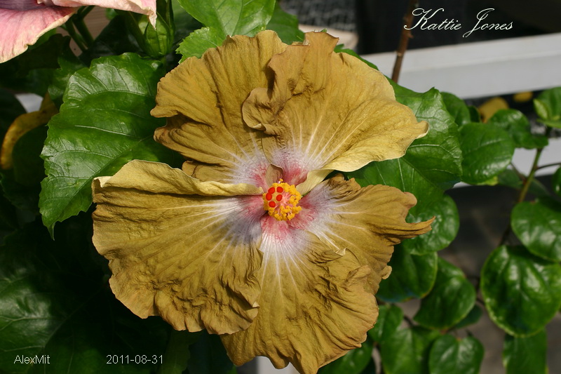 CRW_2718_RJs.JPG