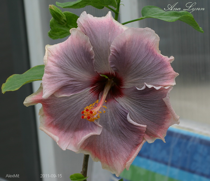 CRW_2858_RJss.JPG