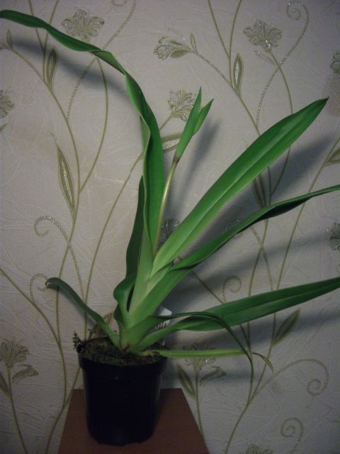 Таким приехал в конце августа