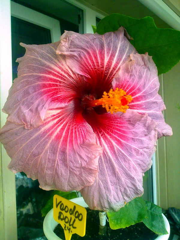 111020111898.jpg