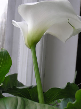PB110050``.jpg