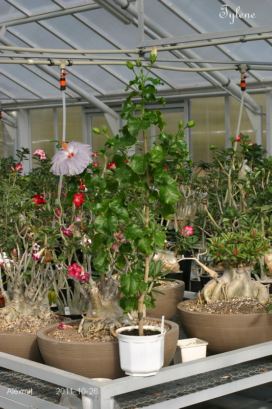 CRW_3313_RJs.JPG