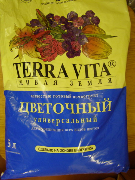 PB142698.jpg