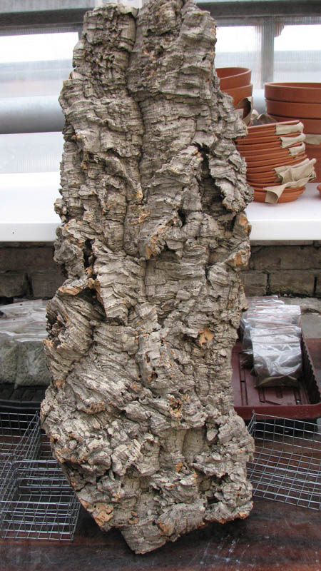 Кору пробкового дуба фактурная.jpg