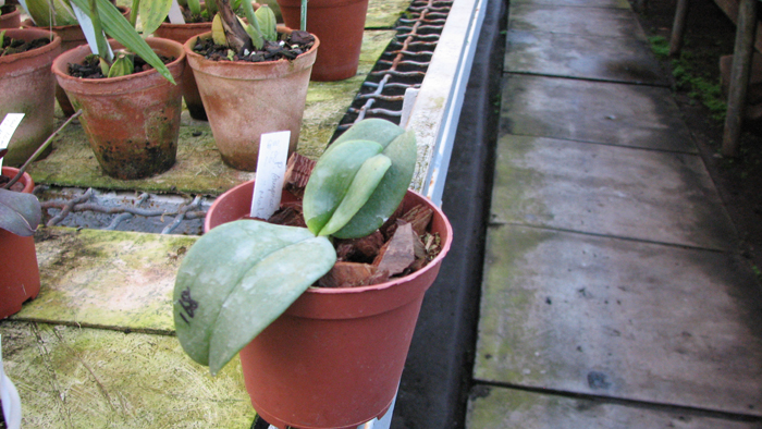 С новым листом