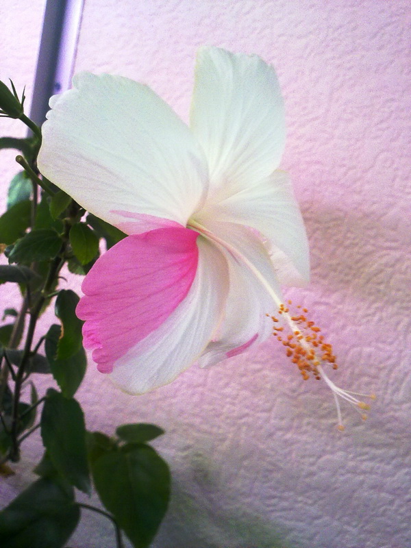 031220112081.jpg