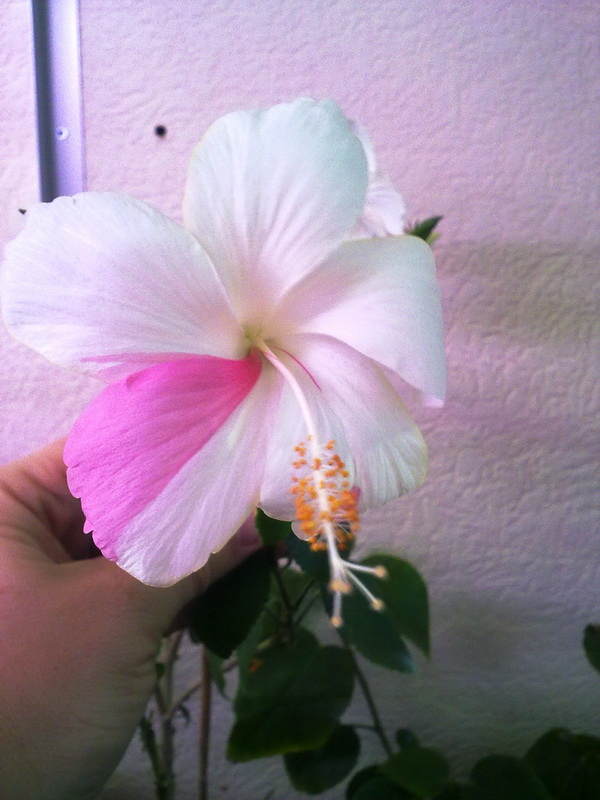 031220112075.jpg