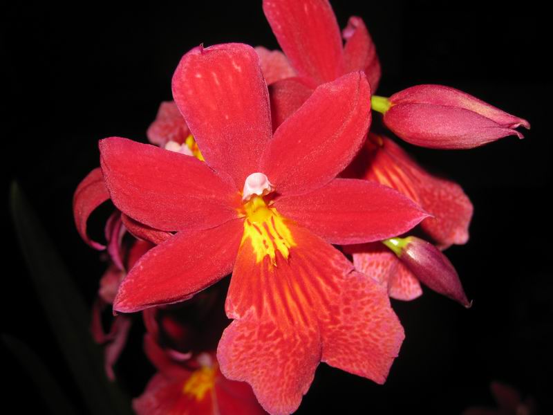 Resize of IMG_6278.JPG