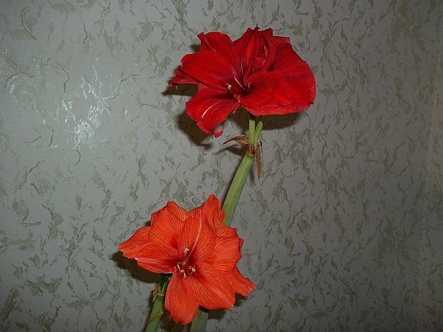 22.01.12_5.jpg