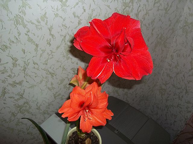 22.01.12_12.jpg