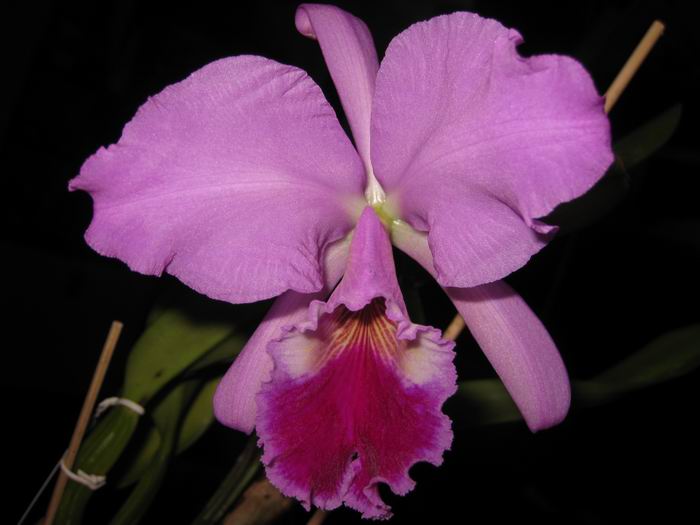 Resize of IMG_6477.JPG