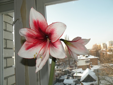 DSCN8305.jpg