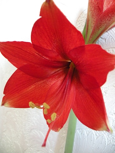 DSCN8373.jpg
