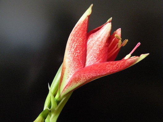 DSCN8354.jpg
