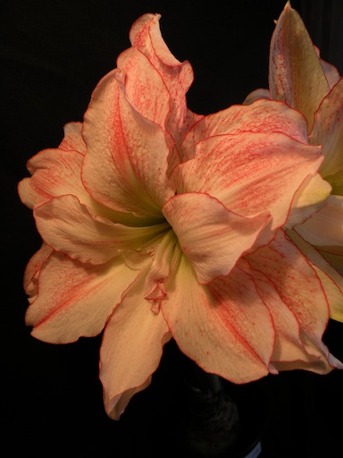 DSCN8751.jpg