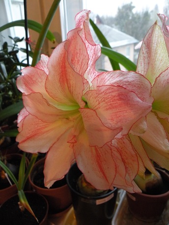 DSCN8789.jpg