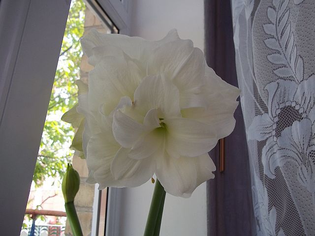 100_1357.JPG